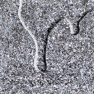 Silver Flash