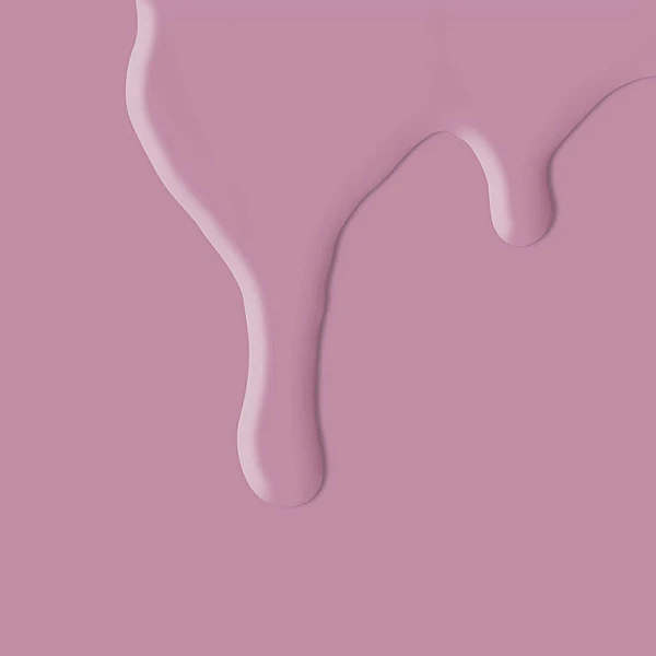 0081